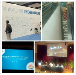 Congresso Mundial UICN 02.jpg