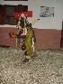 Dança do tubarão martelo.JPG